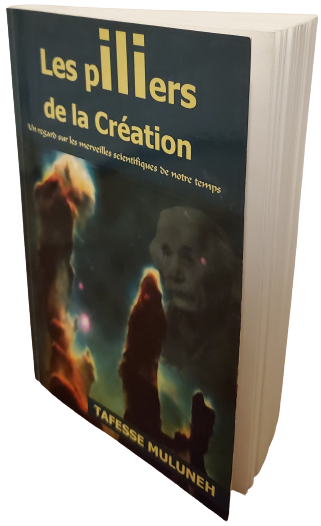 Tafesse Muluneh Pillars_Of_Creation (French) Book Cover