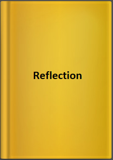 Tafesse Muluneh Reflection
